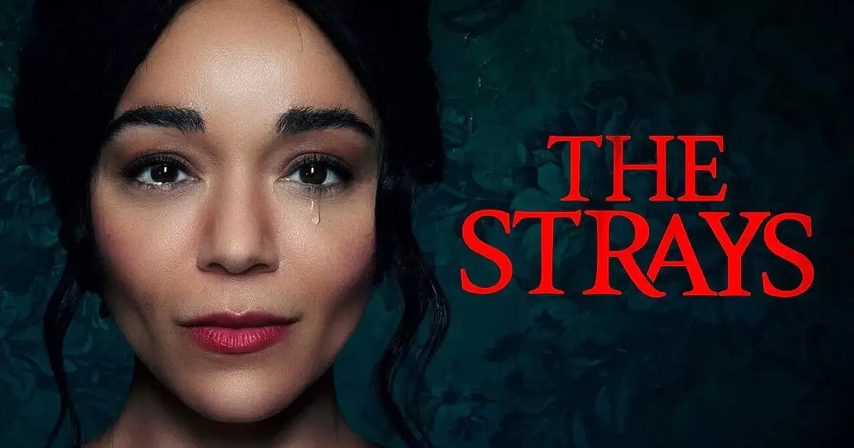 The Strays คนหลงทาง หนัง Netflix